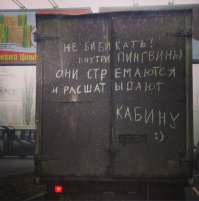 дерзкие цыпы)