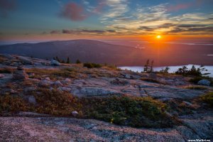 10 фотографий вместо тысячи психологов