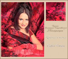 Забавный проект Екатерины Рождественской "Частная коллекция"