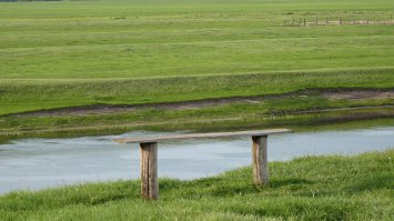 10 фотографий вместо тысячи психологов