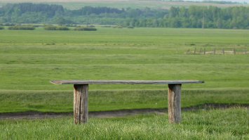 10 фотографий вместо тысячи психологов