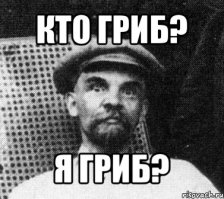 10 фактов о грибах