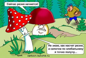10 фактов о грибах