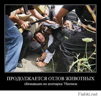 Вспомним этот твит