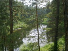 Сибирь. Дорога  из. пос. Таежный в с. Богучаны. Река Крабула