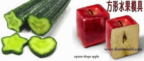 Возможно...эти всё могут.(арбузы,правда,справедливости ради- японские)