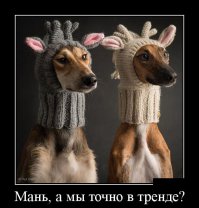 С помощью макияжа женщина превратилась в сибирского хаски