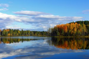 Можно и без лавочек помедитировать- у ближайшего пруда
