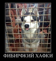 С помощью макияжа женщина превратилась в сибирского хаски