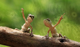 42 фотографии, сделанные в нужный момент