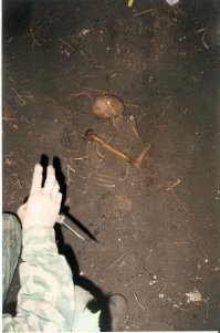 Ну вот, рейтинг позволяет, добавлю и я несколько фот вдогонку
На второй, как раз тот солдатик про которого вчера писал..