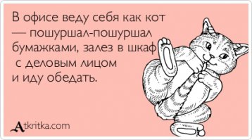 20 открыток о том, что без кота и жизнь не та