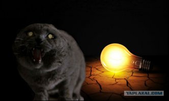 Нда... где-то тут был кот с лампой: