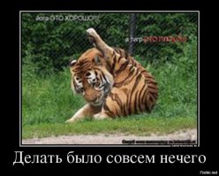 Парень пародирует звёзд Голливуда, используя мешки для мусора и старые шторы