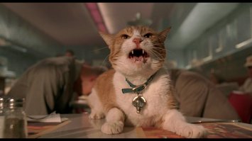 15 главных котиков в кино