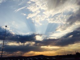 Фотоподборка за 28.08.2015