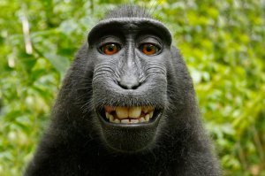 профессиональное селфи