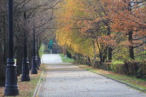 Фотоподборка за 28.08.2015