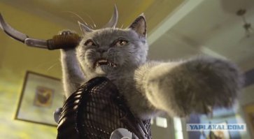 Кошки против собак