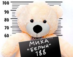 Не. Обычный Миха.