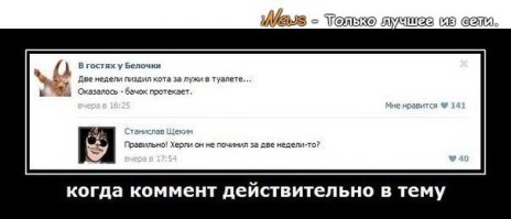 Подборка демотиваторов, которые поднимут вам настроение!