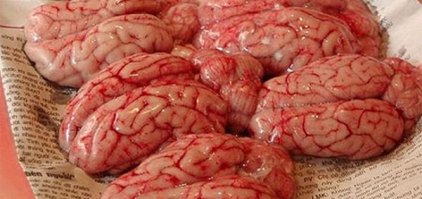 Обезьяньи мозки и бычьи пенисочки.