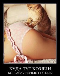 Подборка демотиваторов, которые поднимут вам настроение!