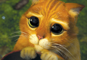 Окей, Гугл, возьми меня на работу.