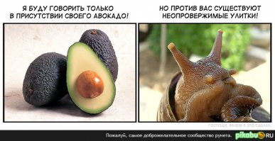 Пёс пойман с поличным