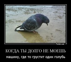 Немного автоприколов