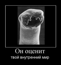 Любите купаться в лужах, тогда я к вам!