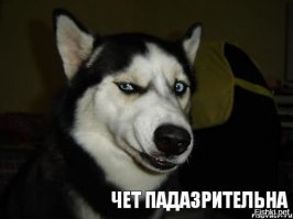 Как добраться из Москвы до Санкт-Петербурга за 36 минут