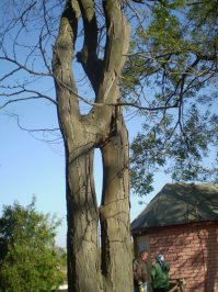 Как-то так...  ;)