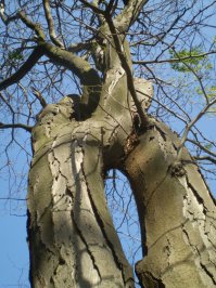 Как-то так...  ;)