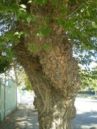 Как-то так...  ;)