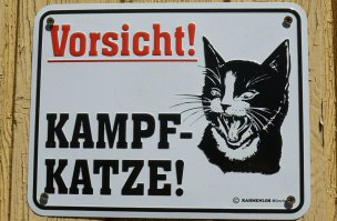 А у нас такая на даче висит :) кто-то из-за границы привез..