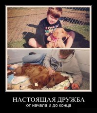 Грустный демотиватор (