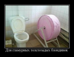 Это мужской сортир, стульчак поднят!!!