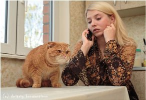 меня в президенты!!!