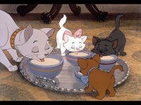 Коты-аристократы: