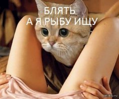 Подборка демотиваторов, которые поднимут вам настроение!