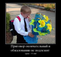 16 гифок, которые поймет каждый, кто учился в школе