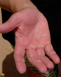 Девушки в купальниках