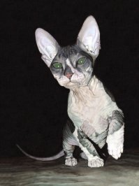 А это моя первая картина маслом :)