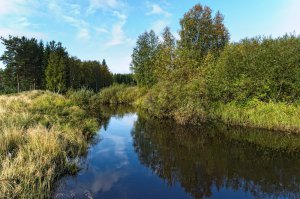 Вообще, отражения делают кадр