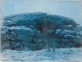 Был я на этом острове 35 лет назад...Сногсшибательно!!!...извините,но цвет только в моей памяти...