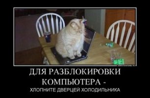 Подборка демотиваторов, которые поднимут вам настроение!