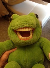  Полные девушки устроили флешмоб после слов Собчак