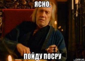  Полные девушки устроили флешмоб после слов Собчак