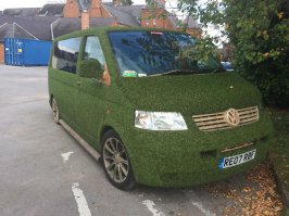 Мастер маскировки под газон.